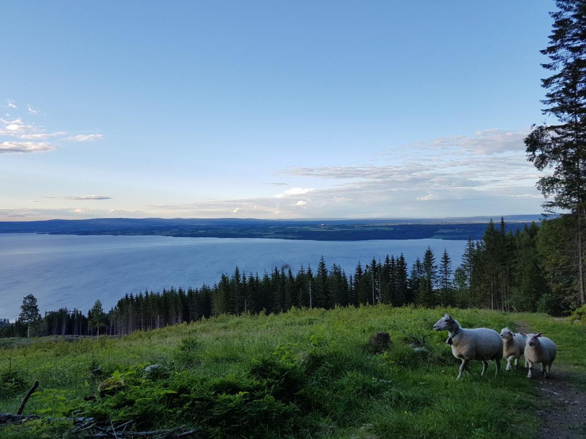 Отель Idylliske Evjua Ved Mjosa Skreia Экстерьер фото